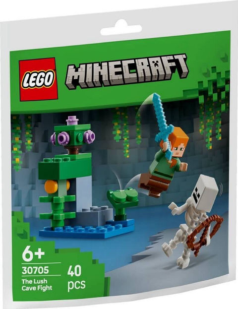 LEGO Minecraft 30705 Trận Chiến Tại Hang Động Xanh